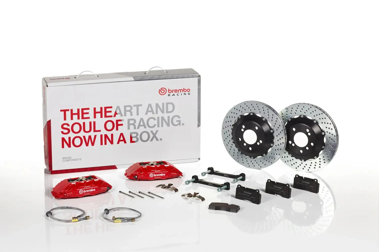 IS250/IS350 Brembo Big Brake - (Rear) 4-Piston Calipers | 345x28mm (13.6") 2-Piece Discs