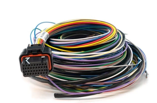 Link ECU Wirein ECU B Loom Medium