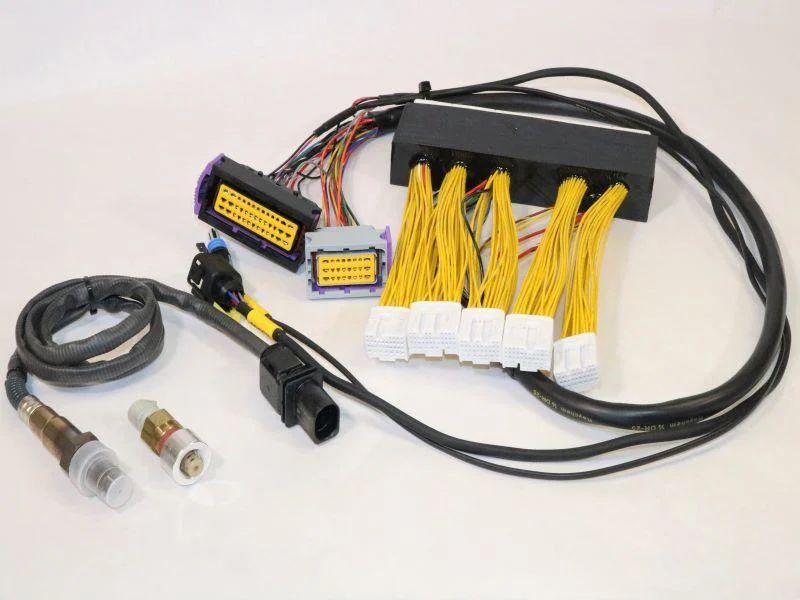 ECUMaster 02-05 LEXUS IS300 & 02-05 GS300 PNP FOR EMU BLACK