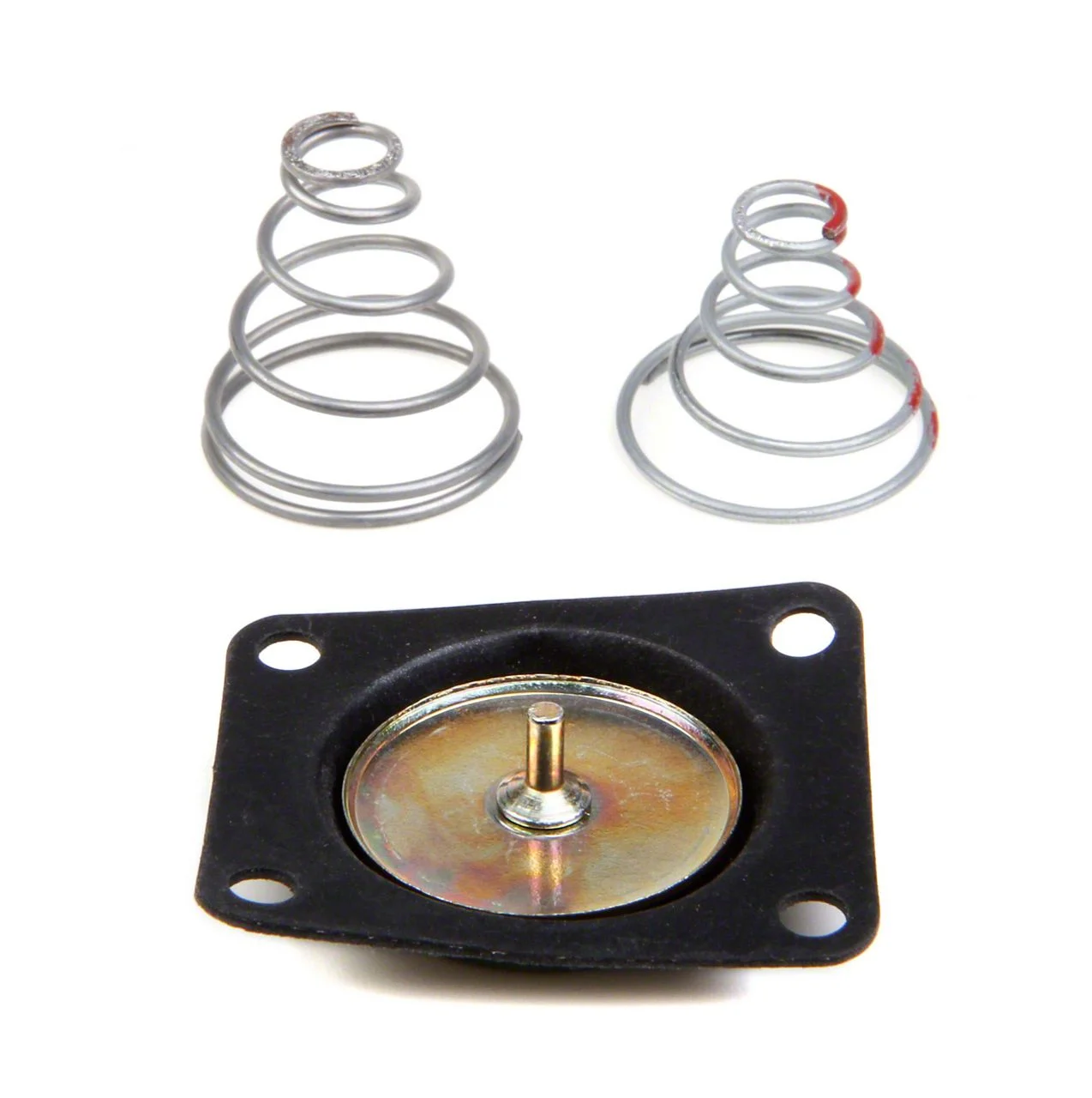 Holley Electric Fuel Pump Repair Kit; REG DIAPH REPAIR KIT