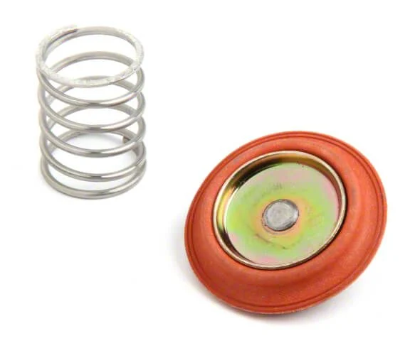 Holley Fuel Pressure Regulator Rebuild Kit for Holley 12-840 Regulators